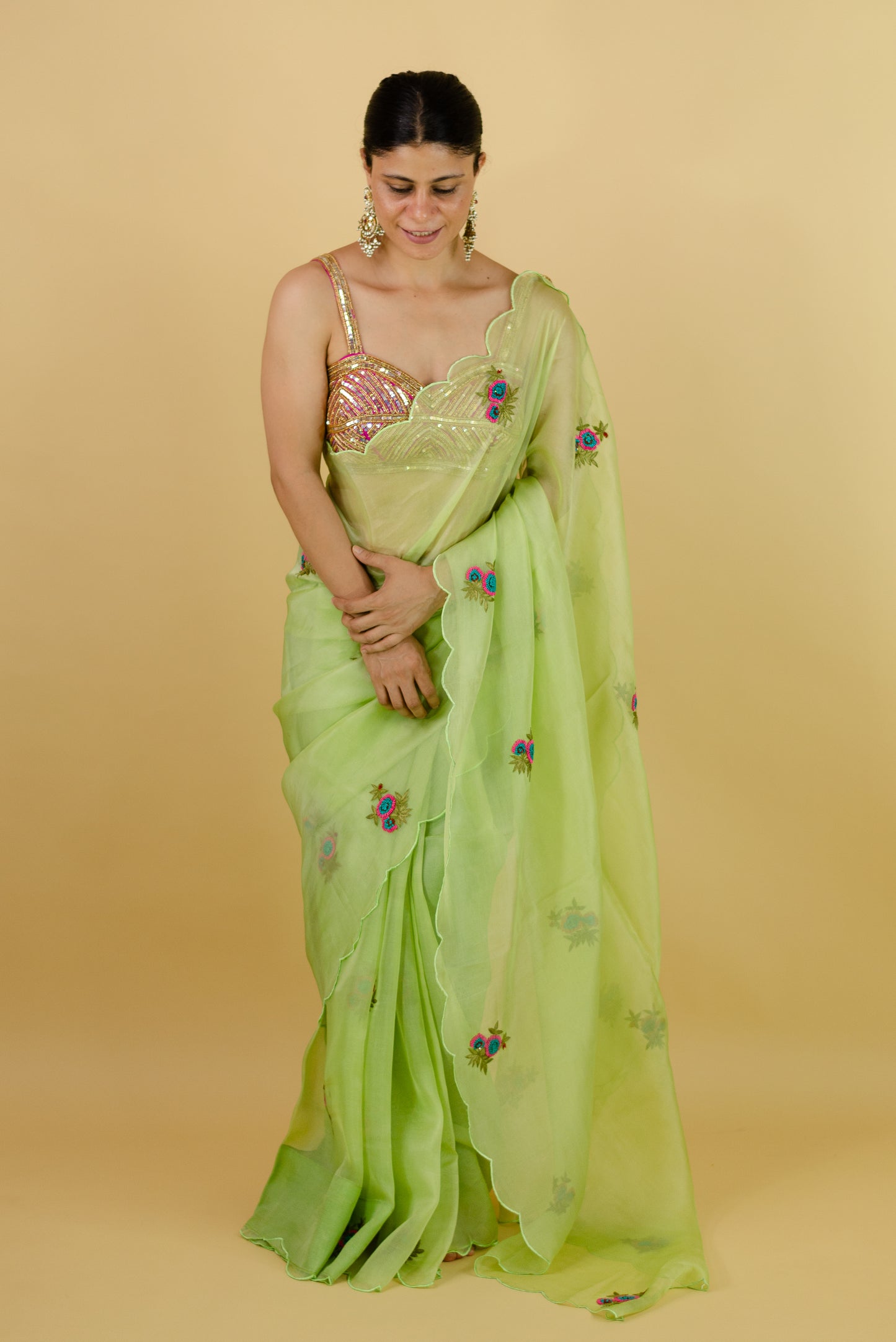 Zardosi and Beads Hand Embroidered Handloom Organza Silk Saree