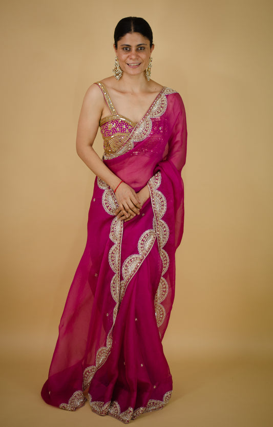 Zardosi and Sequence and Beads Hand Embroidered Handloom Organza Silk Saree