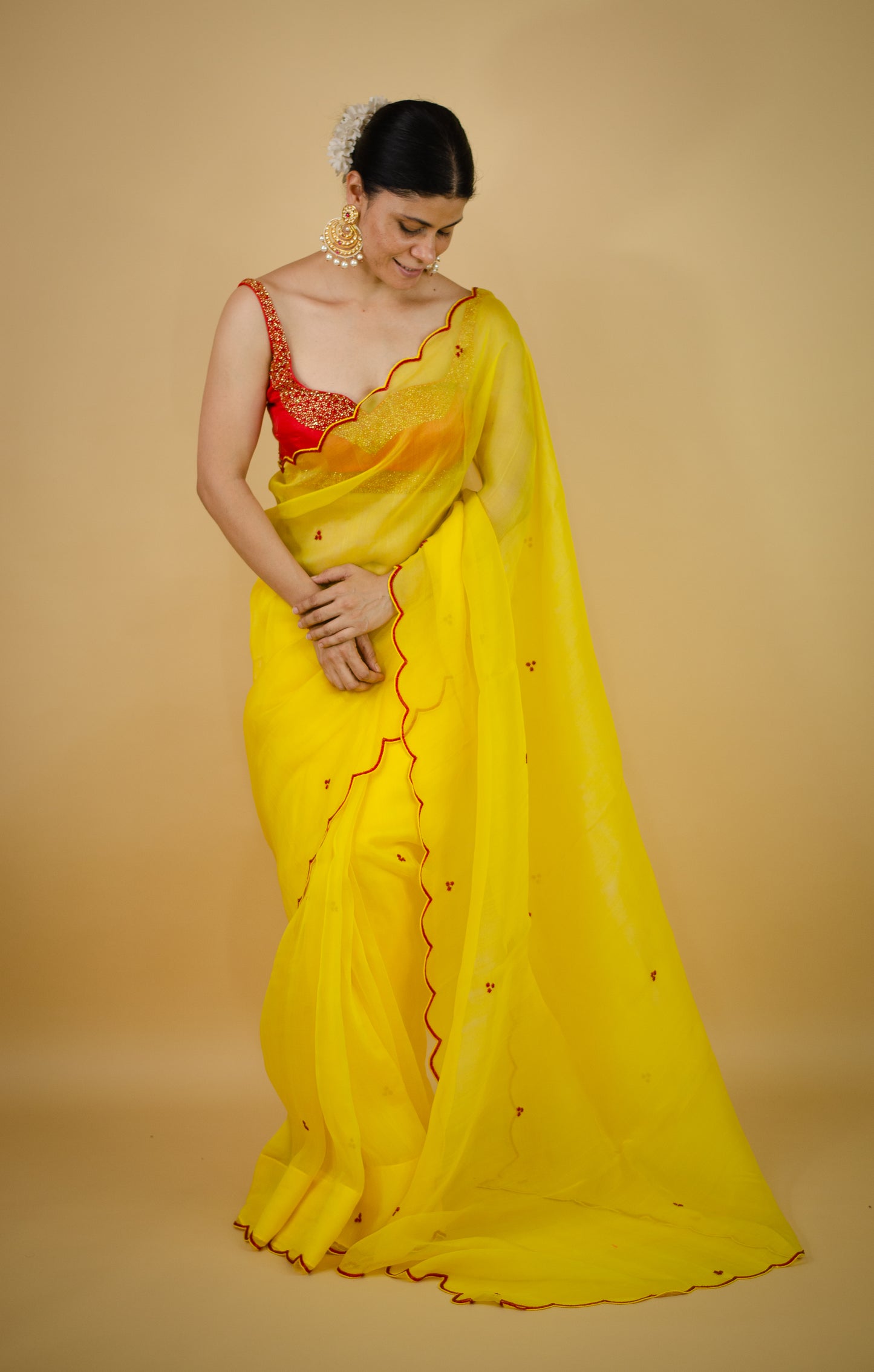 Beads Hand Embroidered Handloom Organza Silk Saree.