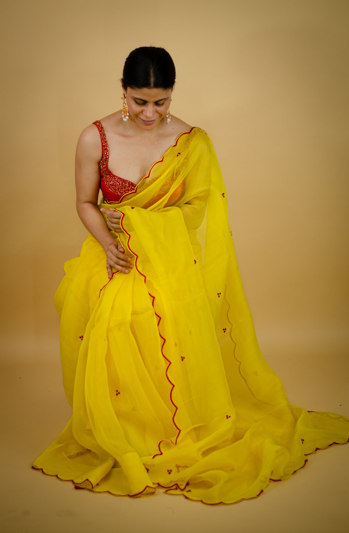 Beads Hand Embroidered Handloom Organza Silk Saree.