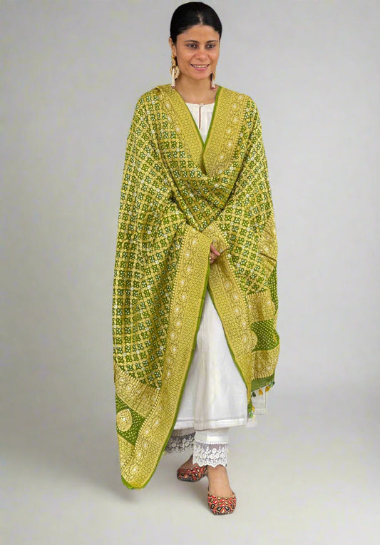 Handloom & Handmade Georgette Banarasi Bandhini Silk Dupatta